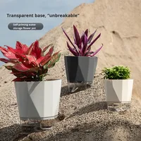 Pot de fleurs hydroponique transparent en plastique à absorption automatique de l'eau pour la culture des plantes vertes, pot blanc