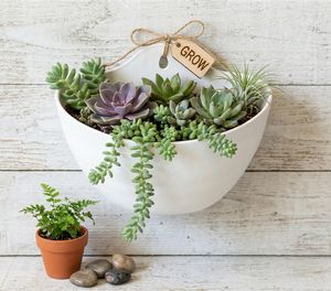 Maceta Moderna para Pared Exterior, Ligera, de Plástico, Decorativa, Colgante, para Hierbas, Flores y Suculentas - Product Image 1