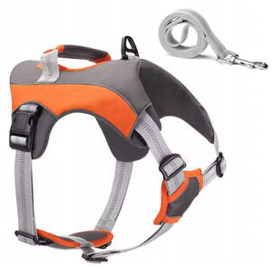 犬用チェストハーネスカスタマイズ耐久性と快適な屋外ウォーキングクラッシュペット用ハーネス - Product Image 6