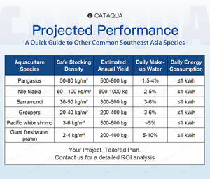 Sistema <span class=keywords><strong>RAS</strong></span> de Alta Producción para Peces y Camarones del Sudeste Asiático, de Uso Intensivo para <span class=keywords><strong>Escala</strong></span> Comercial, Reduce el Ciclo y Aumenta la Cosecha - Product Image 2
