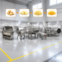 Ligne de production industrielle de frites de pommes de terre semi-frites 50-100 kg/h avec éplucheur et trancheuse