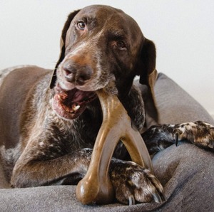 Jouet à mâcher pour chien en nylon indestructible de qualité supérieure pour les chiens agressifs - Product Image 5