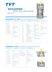220V 180W 15mm/18mm 60Hz Eenfasige Micro <span class=keywords><strong>AC</strong></span> Tandwiel Inductiemotor - Product Image 6