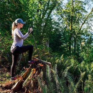 Canettes <span class=keywords><strong>de</strong></span> Trekking pliables en aluminium, Canes bon marché résistantes, pliables, vente en gros, Alpenstock, en chine - Product Image 6