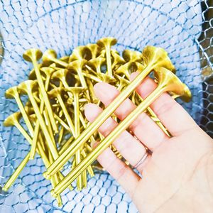 BP BP 1.8 16V B5 B6 B3 1.3 16V B6 1.6 16V <span class=keywords><strong>323</strong></span>/16/<span class=keywords><strong>91</strong></span> Racing performance D'admission D'échappement soupape de Moteur Pour <span class=keywords><strong>MAZDA</strong></span> Permettre Personnaliser OEM - Product Image 4