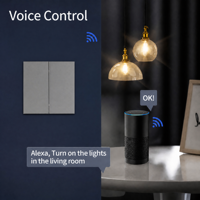 Panneau de commande intelligent WiFi Tuya 2 gang, contrôle à distance par application, compatible maison intelligente (toute la maison), contrôle vocal, application Smart Life