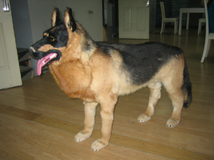 Personnalisé personnel 1 pièce, quantité minimale de commande, <span class=keywords><strong>chien</strong></span> personnalisé ressemble à un vrai <span class=keywords><strong>chien</strong></span> vivant, <span class=keywords><strong>chien</strong></span> de compagnon personnel personnalisé professionnel - Product Image 2