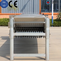 Machine à épiler horizontale pour volailles, spécialisée pour les abattoirs de poulets et de canards
