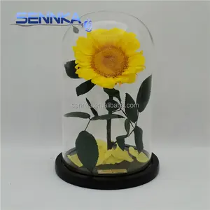 Sennka天然保存花向日葵在玻璃