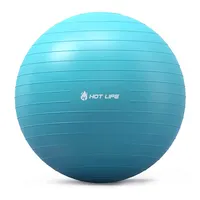 Hot Life Großhandel Benutzer definiertes Logo Premium Exercise Gym Ball Heimgebrauch Tragbar 45cm 55cm 65cm 75cm PVC Yoga Ball