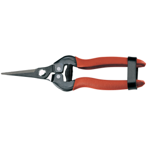 AUSONIA 19 cm Hoja de acero inoxidable Cocina Comida Hierba Tijeras con mango de plástico para uso en exteriores - Product Image 1