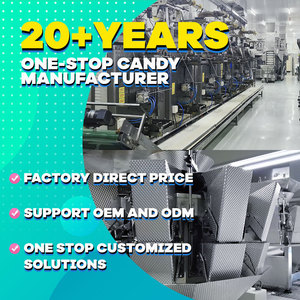 Bán buôn siêu chua cay hỗn hợp hương vị trái cây thách thức slittles kẹo dulces bí ẩn nhai kẹo - Product Image 6