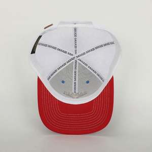 Gorra Deportiva de 6 Paneles Personalizada al por Mayor BSCI, Logotipo Bordado de Alta Calidad, Parche de Cuero Azul, Clásica, Unisex, de Alto Rendimiento - Product Image 6