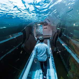 Prima acquari a Tunnel in vetro acrilico subacqueo, Tunnel subacqueo dal Design moderno con vetro acrilico per l'uso di progetti