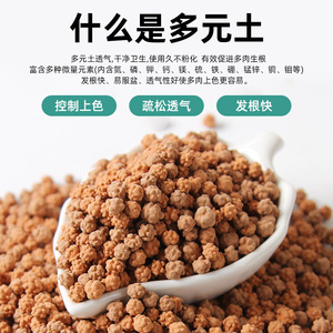 Mélange de culture granulaire multi-textures en terre cristalline respirant pour la culture des plantes succulentes pH 68 - Product Image 4