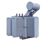 Transformateur de distribution de puissance triphasé immergé dans l'huile 10kV 100kva 200kva 300kva 400kva 500kva 800kva 1000kva 1500kva 50/60Hz