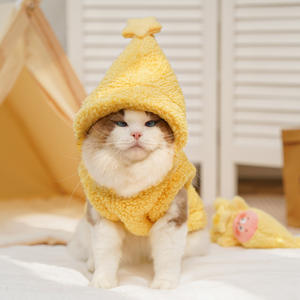 Pijama de Invierno para Perro o Gato con Capucha, Diseño de Estrella Príncipe, Chaleco Grueso y Cálido, Ropa Linda para Cachorros Pequeños como Bichón y Pomerania - Product Image 5