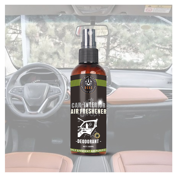 Professional Car Air Freshener Vent Clip