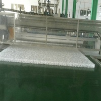 Ligne de production de matelas à vis simple 3D POE pour la fabrication de coussins et tapis en fibres aériennes