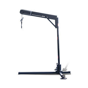 ऑस्ट्रेलियाई बाजार गर्म बिक्री के सुव और वाहन ट्रंक उठाने वाले क्रेन 40-60 किलोग्राम भार क्षमता ओएम/ओडम स्वीकार BZ-DJ60 - Product Image 5