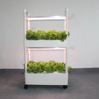 Système de jardin hydroponique vertical intérieur à deux couches Fabricant de base de vente à l'exportation comprenant une ferme à pompe pour la culture domestique