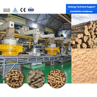 Usine de fabrication de granulés de bois à économie d'énergie avec sécheur et broyeur à marteaux, ligne complète