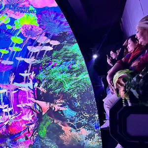 Dispositivo de Experiencia Inmersiva 3D a Simple Vista, Admite Juego Multijugador, Experiencia Realista con Efectos Dinámicos y Especiales - Product Image 5