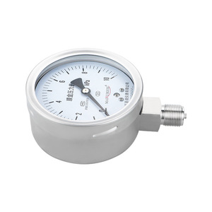 เกจวัดแรงดันไดอะแฟรมสแตนเลส 304 รุ่น YE100BF แบบด้าน  พร้อมไดอะแฟรมเชื่อมต่อแบบเกลียว ทนทานต่อการสั่นสะเทือน - Product Image 1