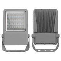 150W Anti-Corrosion LED Projecteur pour Éclairage Extérieur IP65 Étanche Vibration 3G/5G Technologie Cob Puce pour Application Route