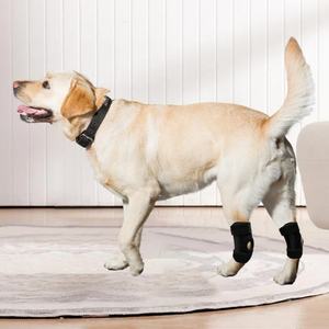 Protection de la rotule pour animaux de compagnie, rééducation assistée, protection contre la luxation des ligaments articulaires pour chat, protection des articulations des pattes de chien, protège-genou - Product Image 3