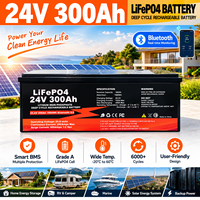 Batterie LiFePO4 24V 300Ah, pack de batteries solaires, batterie lithium à cycle profond pour stockage d'énergie domestique, BMS intelligent, Bluetooth