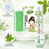 Patch Rafraîchissant en Gros pour Soulager la Chaleur Estivale – Plâtre Herbal Menthe Agastache à Effet Rafraîchissant Physique – Vente Directe Usine OEM ODM