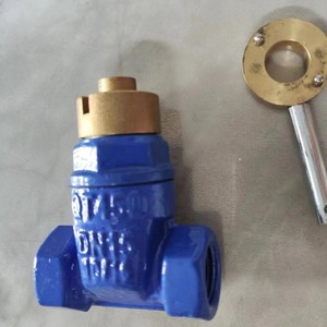 Conector de válvula de compuerta Longyao Shuangyong 15X con sello suave, válvula de compuerta flexible de baja presión para agua, aire y aceite a temperatura ambiente - Product Image 4
