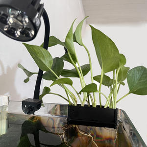 Support de plante suspendu pour <span class=keywords><strong>aquarium</strong></span> OEM DD1890 avec crochets, support de culture en pot, décorations pour <span class=keywords><strong>aquarium</strong></span> - Product Image 6