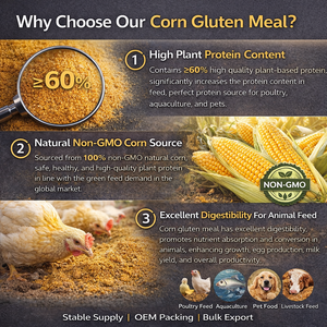 Farine de Gluten de Maïs Qualité Alimentaire 60% Protéines, Poudre de Protéines de Maïs pour Additifs Alimentaires pour Volailles, Aquaculture et Bétail - Product Image 3