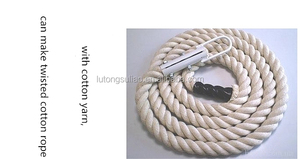 Monfilament Nhựa Làm Dây MÁY XOẮN Danline Dây Dây Chuyền Sản Xuất Nhựa Sợi Dây Thừng Xoắn Máy - Product Image 6