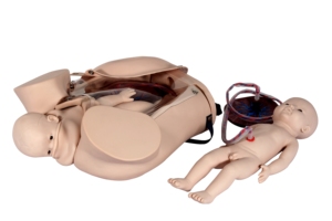 Mô hình trình diễn giao hàng - Product Image 2