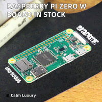 En stock : Carte de développement Raspberry Pi Zero W avec I2C et Wi-Fi pour MCU 32 bits embarqué