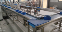 Continue fruit- en groenteverwerkingslijn na de oogst: week-, was-, sorteer- en luchtdroogmachine voor groentefabrieken