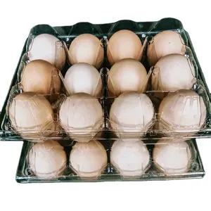 Pabrik Tiongkok mesin lini produksi nampan telur Nepal
