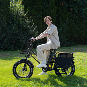 Vélo électrique à pneus larges EU Warehouse Long Range 20*4" InchKOOLUX X8 Dropshipping, batterie lithium 48V 30+35Ah, moteur roue arrière - Product Image 2