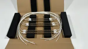 पाउडर कोटिंग के लिए इन्फ्रारेड शॉर्ट वेव एमिटर के साथ REMA निर्माता का थोक हैलोजन लैंप क्वार्ट्ज टंगस्टन हीटर लैंप