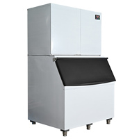 Balle de cube électrique de machine à glaçons carrée commerciale durable et économe en énergie de 1000kg pour les services de restauration en plastique