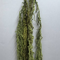 Bunga Kering Amaranthus Hypochondriacus yang Diawetkan, Dekorasi Bunga Kering yang Diolah dengan Gliserin, Ramah Lingkungan, Tahan Lama dari Yunnan