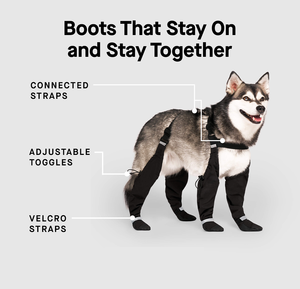 Scarpe Sportive Ecologiche per Cani, Stivali con Bretelle, Protezione Zampe, Copertura Estesa delle Gambe per Sport Estivi e Invernali - Product Image 4