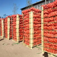 Verse Uien Groothandel Hete Verkoop Van China Leverancier Om Te Exporteren