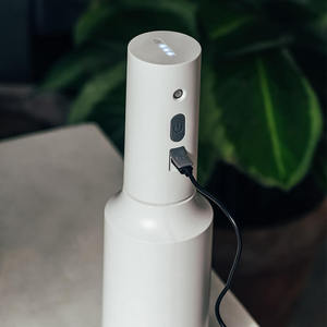 BRICE Elektrischer Nebelspruher Китай USB перезаряжаемая нано электрическая распылительная бутылка для сада электрическая распылительная бутылка - Product Image 2