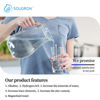 Filtre à eau bio alcalin de luxe pH 9.5 Nano boules d'hydrogène pour neutraliser l'eau acide de la voiture bâton alcalin sain