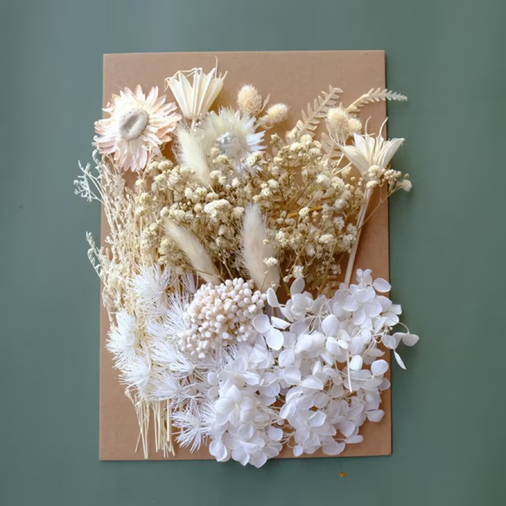 Fleur séchée#7