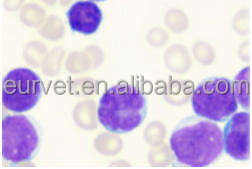 Máquina Automática de Contagem de Sangue para Animais de Estimação, Sistema Aberto de Alta Qualidade EURVET, Equipamento Veterinário para Laboratório - Product Image 6